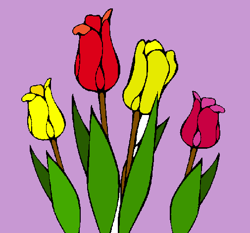 Tulipanes