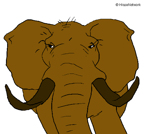 Elefante africano