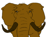 Dibujo Elefante africano pintado por derekguapo2