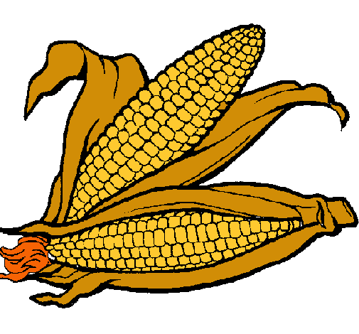 Dibujo Mazorca de maíz pintado por brayanquino9