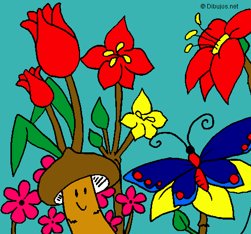 Fauna y flora