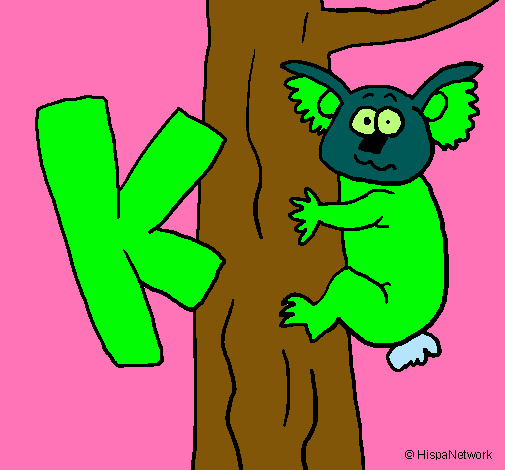 Koala