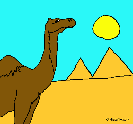 Dibujo Camello pintado por suma