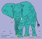 Dibujo Elefante pintado por cesarion