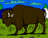 Dibujo Búfalo  pintado por nicpol