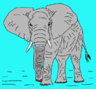 Dibujo Elefante pintado por mbfuhjj