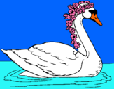 Dibujo Cisne con flores pintado por fjoidjfijfd