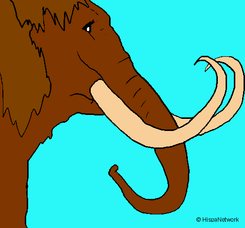 Mamut