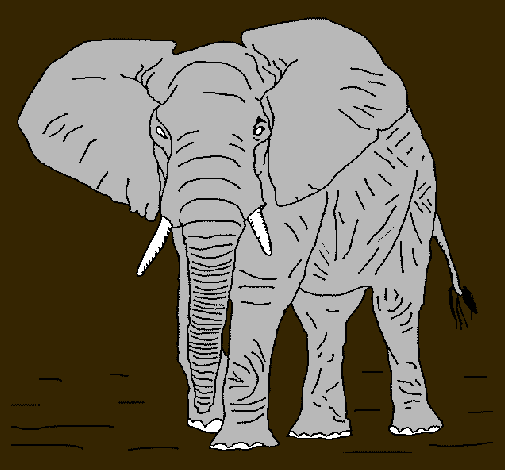 Dibujo Elefante pintado por ianuchi