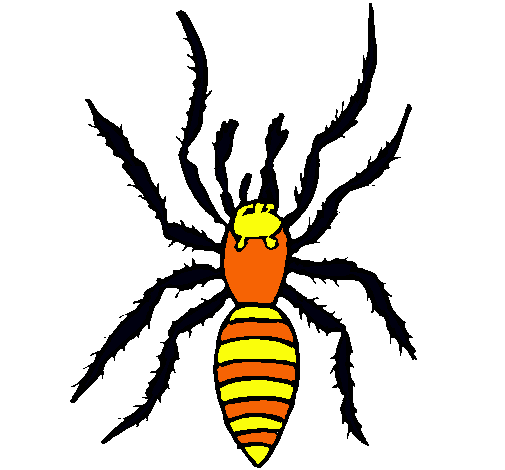 Araña tigre