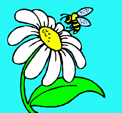 Dibujo Margarita con abeja pintado por YoooRocio