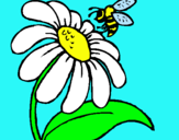 Dibujo Margarita con abeja pintado por YoooRocio