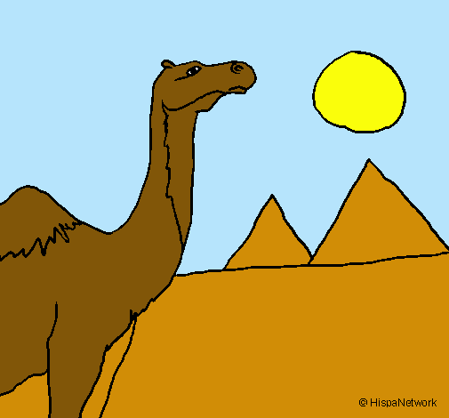 Dibujo Camello pintado por Rakky