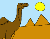 Dibujo Camello pintado por Rakky