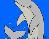 Dibujo Delfín chapoteando pintado por jkliu0ypjgpi
