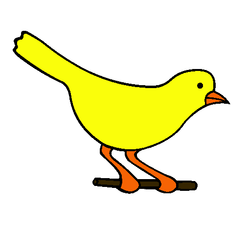 Pájaro 4