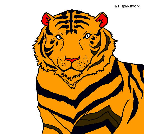 Tigre