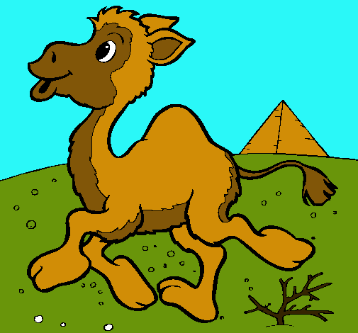 Dibujo Camello pintado por Zowiiin