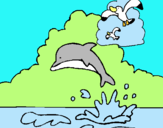 Dibujo Delfín y gaviota pintado por delf