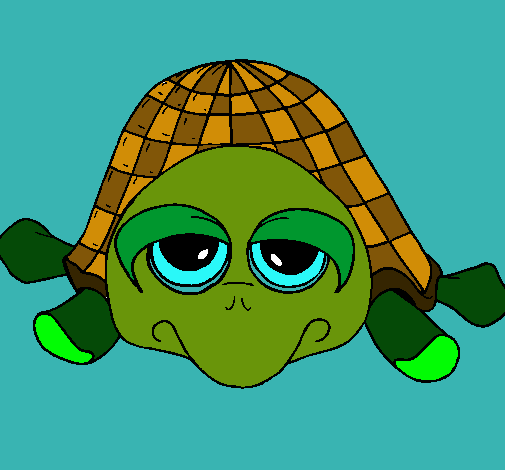 Tortuga