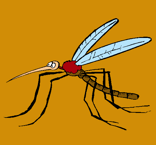 Mosquito