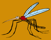Dibujo Mosquito pintado por Gusaloco