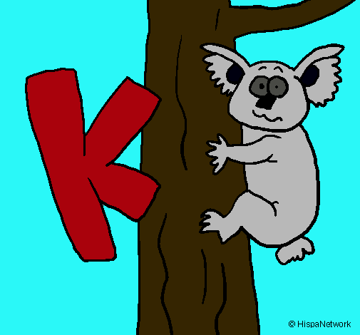 Koala