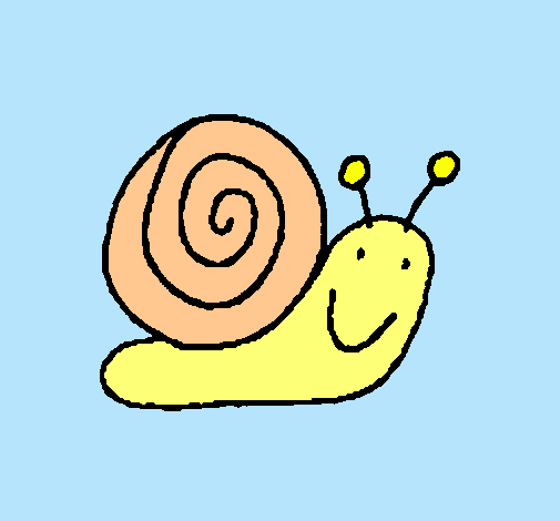 Caracol 4