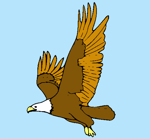 Águila volando