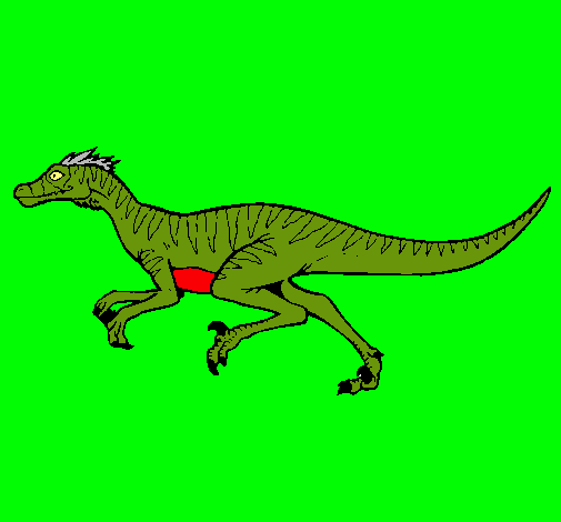 Velociraptor