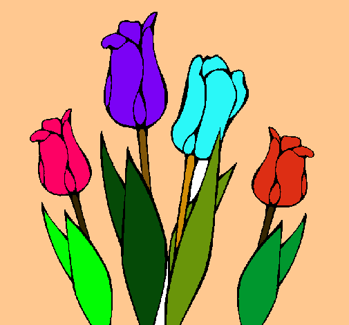 Tulipanes