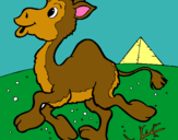 Dibujo Camello pintado por mario45