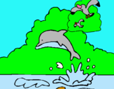 Dibujo Delfín y gaviota pintado por evbbb