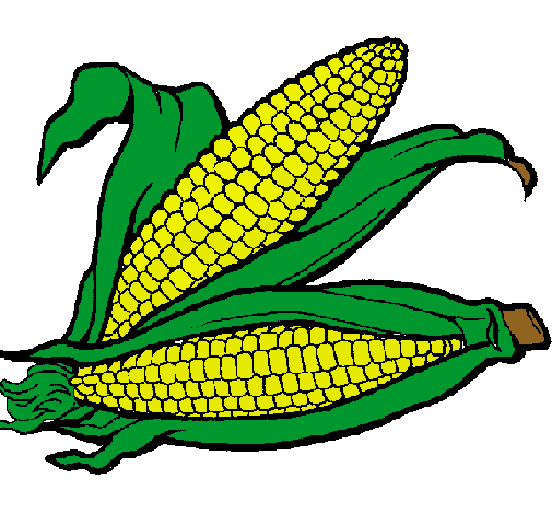 Dibujo Mazorca de maíz pintado por meliverdun