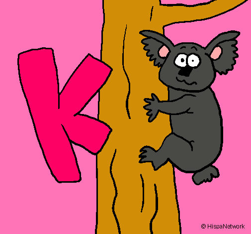 Koala