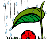 Dibujo Mariquita protegida de la lluvia pintado por fdrghrff