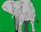 Dibujo Elefante pintado por firulay