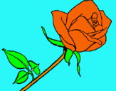 Dibujo Rosa pintado por lilola