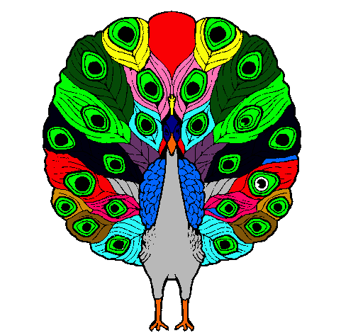 Pavo real