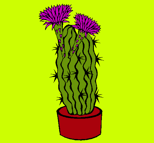 Cactus con flores