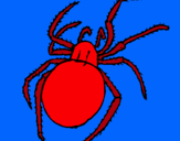 Dibujo Araña venenosa pintado por alegandro
