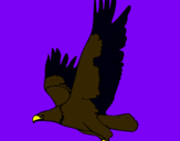 Dibujo Águila volando pintado por biego 