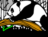 Dibujo Oso panda comiendo pintado por ornela