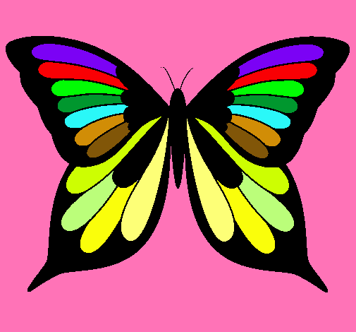 Mariposa