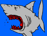 Dibujo Tiburón pintado por comi 