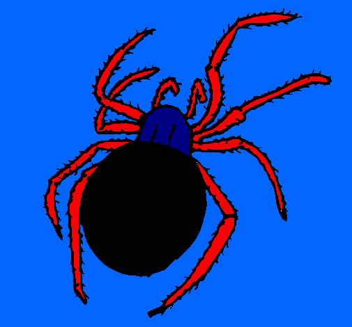 Araña venenosa