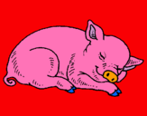Dibujo Cerdo durmiendo pintado por ALEJANDRA113