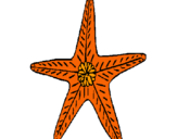 Dibujo Estrella de mar pintado por lucia3