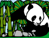 Dibujo Oso panda y bambú pintado por PANDITA_VM