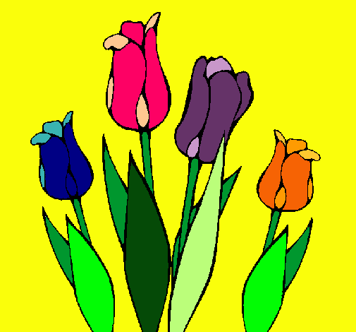 Tulipanes